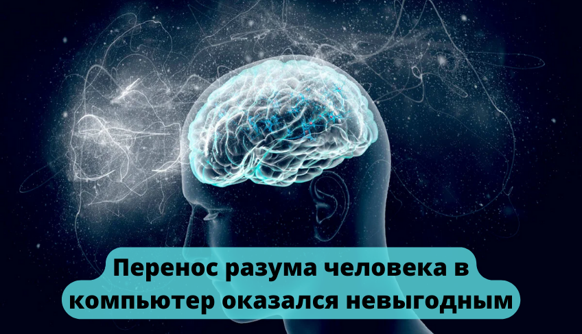 Перенос разума в компьютер. Спасение разума человека. Меняется ли интеллект человека с возрастом.